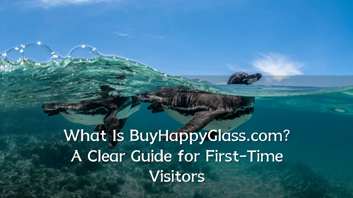 What Is BuyHappyGlass.com? A Clear Guide for First-Time Visitors