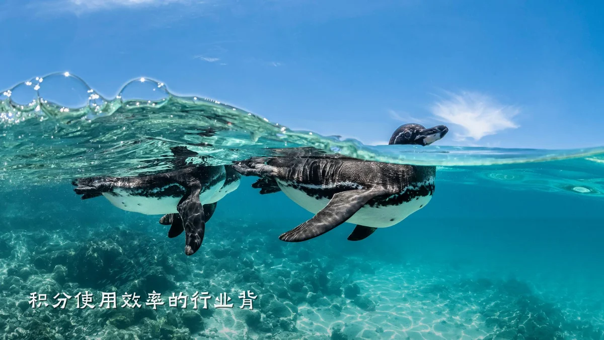 积分使用效率的行业背