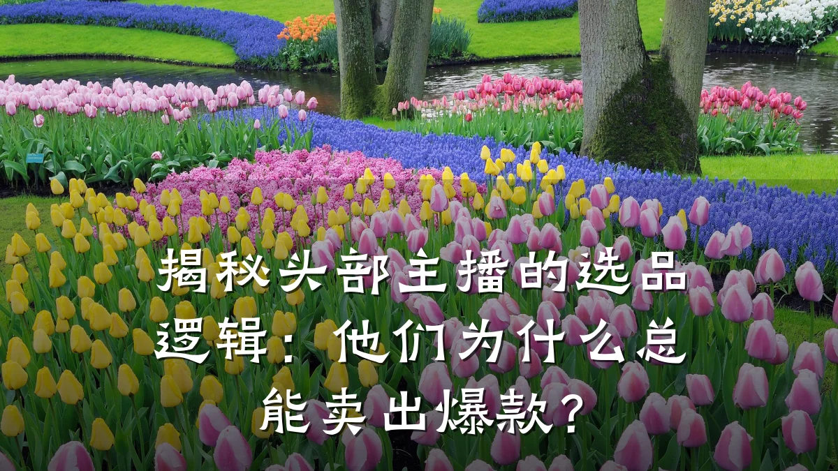 揭秘头部主播的选品逻辑:他们为什么总能卖出爆款?