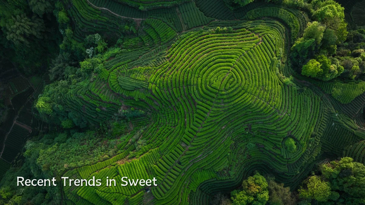 Recent Trends in Sweet