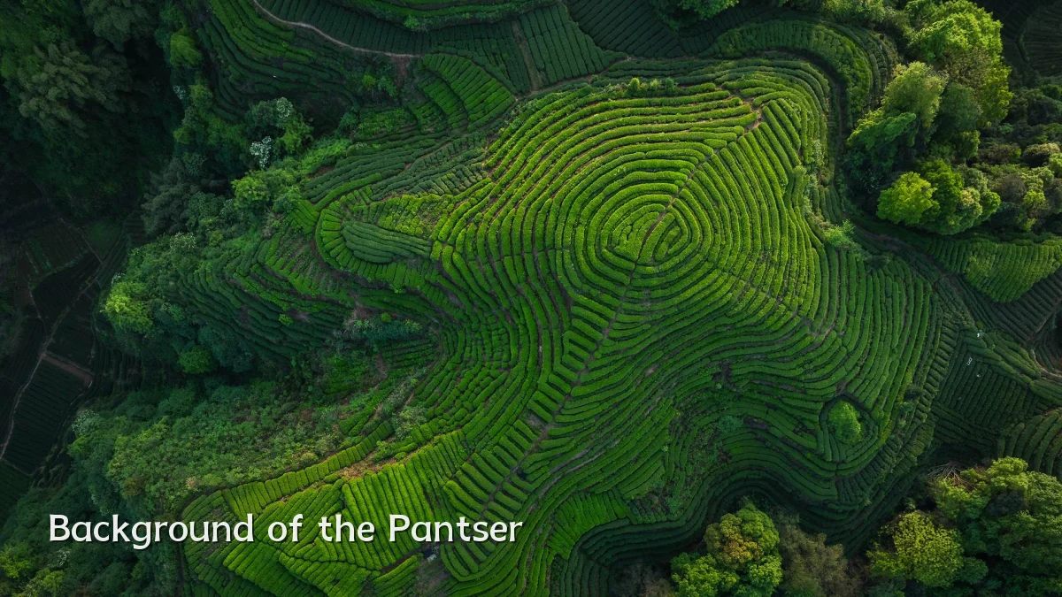 Background of the Pantser