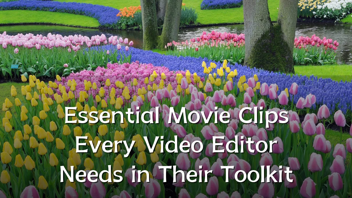 Essential Movie Clips Every Video Editor Needs in Their Toolkit