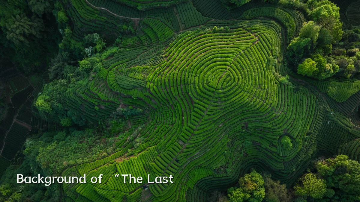 Background of “The Last