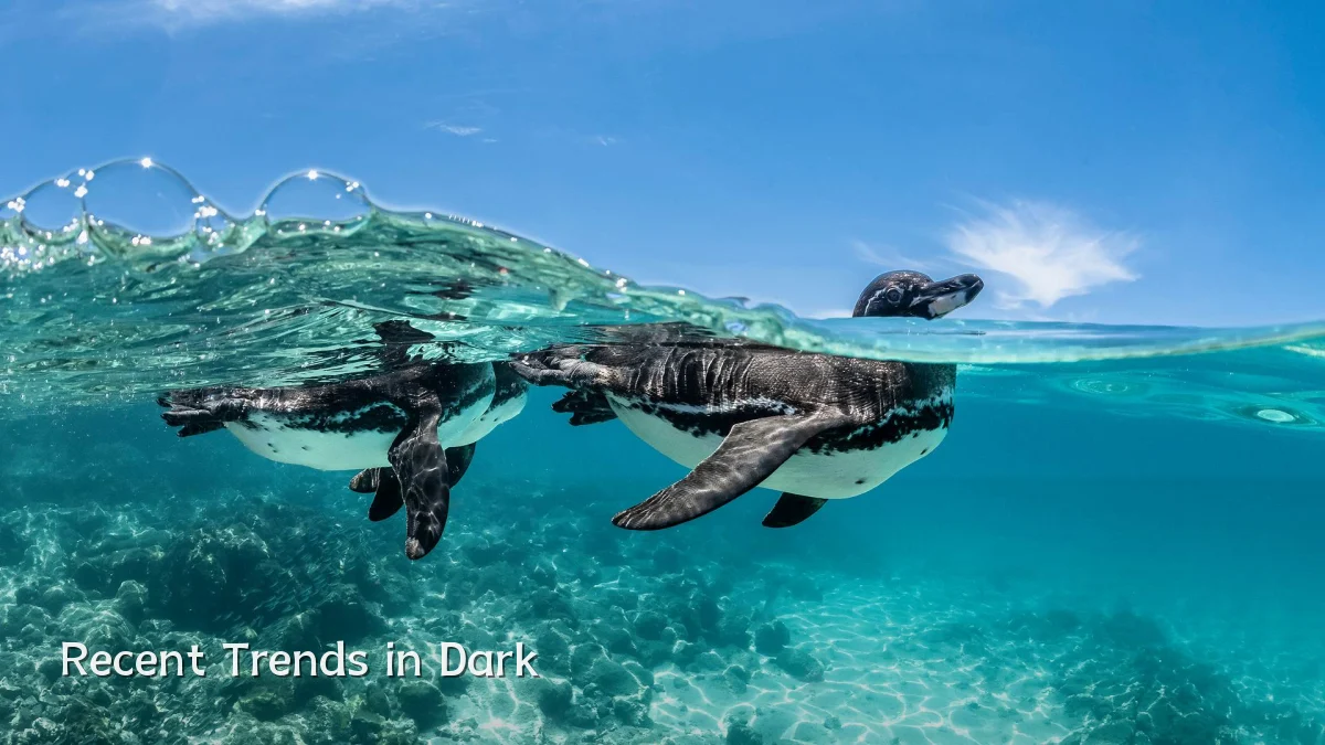 Recent Trends in Dark