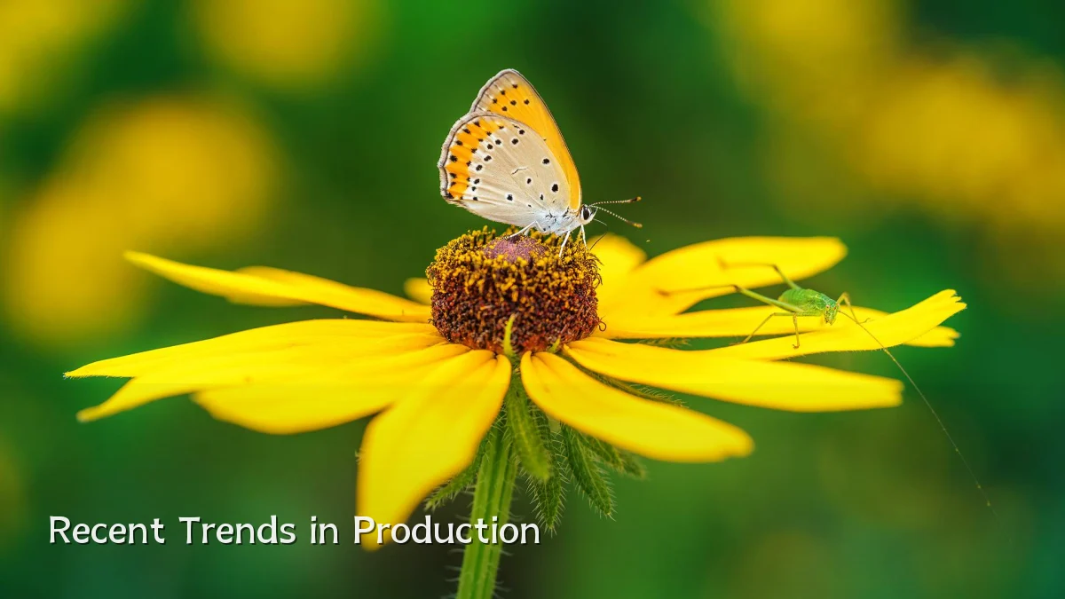 Recent Trends in Production