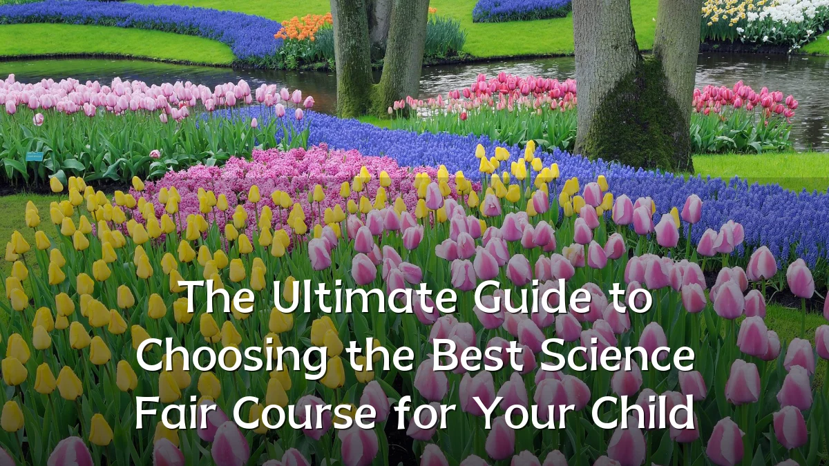 The Ultimate Guide to Choosing the Best Science Fair Course for Your Child