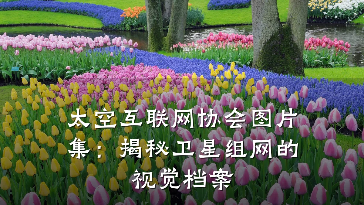 太空互联网协会图片集:揭秘卫星组网的视觉档案
