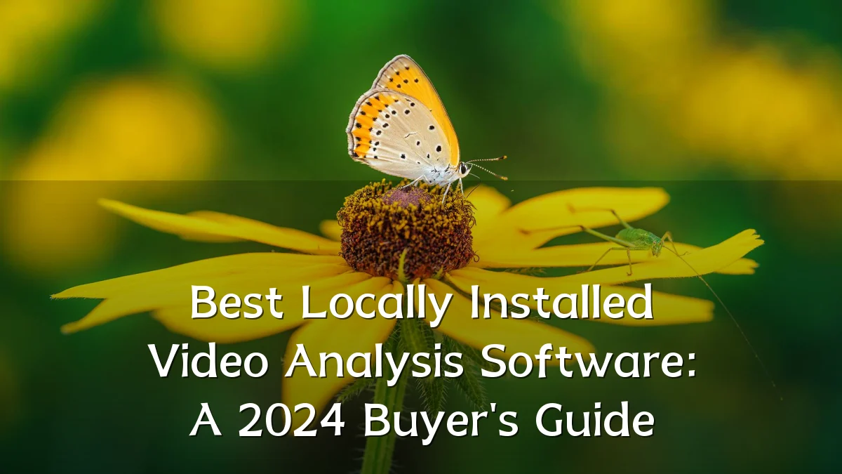Best Locally Installed Video Analysis Software: A 2024 Buyer's Guide